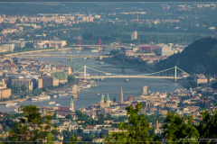 DSC_1953