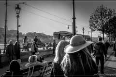 DSC_0100-1