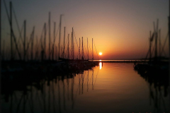 2012-07-01-05.15.46.jpg