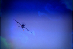 DSCF0411