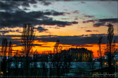 DSC_0001-1