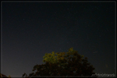 DSC_0095io
