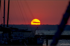 DSC_2790