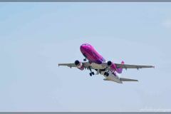 DSC_0065-1