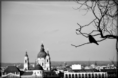 DSC_0080-1