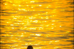 DSC_0869
